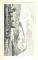 Picture 18 of 42 from History of New Boston, New Hampshire. [With plates, including portraits (1864), leaf 365