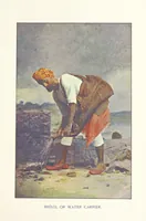 Picture 28 of 32 from Typical Pictures of Indian Natives: being reproductions from specially-prepared hand-coloured photographs. With descriptive letterpress by F. M. Coleman (1807), leaf 99