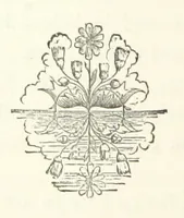 An illustration from Lady Betty ... With original illustrations (1870)
