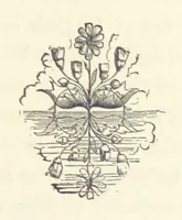 An illustration from Lady Betty ... With original illustrations (1870)