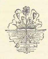 An illustration from Lady Betty ... With original illustrations (1870)