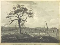 An illustration from An Account of the English Colony in New South Wales ... To which are added, some particulars of New Zealand; compiled ... from the MSS. of Lieutenant-Governor King ... Illustrated by engravings (1804)