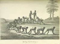 Picture 13 of 35 from An Account of the English Colony in New South Wales ... To which are added, some particulars of New Zealand; compiled ... from the MSS. of Lieutenant-Governor King ... Illustrated by engravings (1804), leaf 427