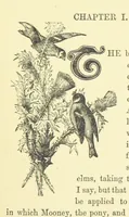 An illustration from The Woodleighs of Amscote ... Illustrated (1881)
