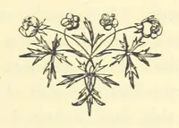 An illustration from Poor Miss Finch. A novel (1872)
