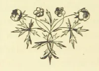 An illustration from Poor Miss Finch. A novel (1872)