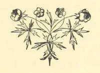An illustration from Poor Miss Finch. A novel (1872)