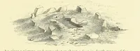 Picture 72 of 75 from Ilkley, Ancient and Modern ... Eighty illustrations (1885), leaf 411
