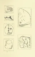 Picture 75 of 75 from Ilkley, Ancient and Modern ... Eighty illustrations (1885), leaf 421