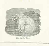 An illustration from Four Years in a Government Exploring Expedition; to the Island of Madeira-Cape Verd Islands-Brazil-Coast of Patagonia-Chili-Peru, etc (1852)