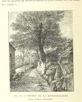 Picture 58 of 430 from Histoire de Saint-Chamond et de la seigneurie de Jarez depuis les temps les plus reculés jusqu'à nos jours (1890), leaf 214