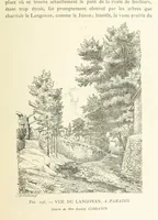 Picture 197 of 430 from Histoire de Saint-Chamond et de la seigneurie de Jarez depuis les temps les plus reculés jusqu'à nos jours (1890), leaf 487