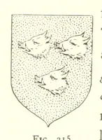 Picture 212 of 430 from Histoire de Saint-Chamond et de la seigneurie de Jarez depuis les temps les plus reculés jusqu'à nos jours (1890), leaf 512