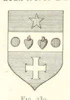 Picture 237 of 430 from Histoire de Saint-Chamond et de la seigneurie de Jarez depuis les temps les plus reculés jusqu'à nos jours (1890), leaf 546