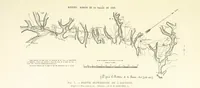 Picture 8 of 430 from Histoire de Saint-Chamond et de la seigneurie de Jarez depuis les temps les plus reculés jusqu'à nos jours (1890), leaf 61