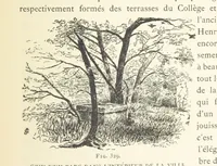 An illustration from Histoire de Saint-Chamond et de la seigneurie de Jarez depuis les temps les plus reculés jusqu'à nos jours (1890)