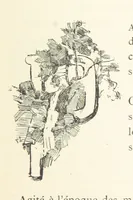 Picture 339 of 430 from Histoire de Saint-Chamond et de la seigneurie de Jarez depuis les temps les plus reculés jusqu'à nos jours (1890), leaf 715