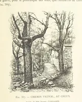 Picture 353 of 430 from Histoire de Saint-Chamond et de la seigneurie de Jarez depuis les temps les plus reculés jusqu'à nos jours (1890), leaf 727
