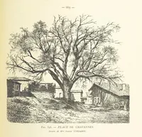 Picture 362 of 430 from Histoire de Saint-Chamond et de la seigneurie de Jarez depuis les temps les plus reculés jusqu'à nos jours (1890), leaf 733
