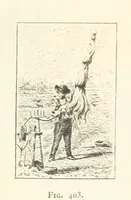 Picture 367 of 430 from Histoire de Saint-Chamond et de la seigneurie de Jarez depuis les temps les plus reculés jusqu'à nos jours (1890), leaf 735