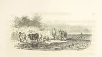 An illustration from Geschiedenis van België ... Versierd met 200 houtsneden, etc (1845)