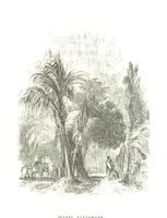 An illustration from Dramatic Scenes. With other poems, now first printed ... Illustrated (1857)
