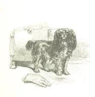 An illustration from Dramatic Scenes. With other poems, now first printed ... Illustrated (1857)