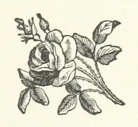 An illustration from In Scorn of Consequence; or, My brother's keeper (1886)