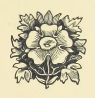 An illustration from Irish Lyrics, Songs & Poems (1879)