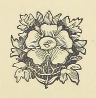 An illustration from Irish Lyrics, Songs & Poems (1879)
