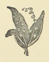 An illustration from Irish Lyrics, Songs & Poems (1879)