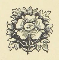 An illustration from Irish Lyrics, Songs & Poems (1879)