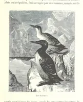 An illustration from Mœurs et caractères des peuples, Asie-Amérique-Océanie. Morceaux extraits de divers auteurs. [With illustrations (1879)