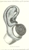 Picture 52 of 60 from Mœurs et caractères des peuples, Asie-Amérique-Océanie. Morceaux extraits de divers auteurs. [With illustrations (1879), leaf 253