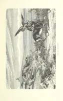An illustration from Mœurs et caractères des peuples, Asie-Amérique-Océanie. Morceaux extraits de divers auteurs. [With illustrations (1879)