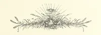 An illustration from Poets in the Garden. [With plates (1886)