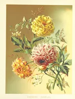 An illustration from Poets in the Garden. [With plates (1886)