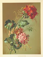 An illustration from Poets in the Garden. [With plates (1886)