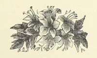 An illustration from Across the Channel; or, Picture-stories of foreign lands. [With illustrations (1888)