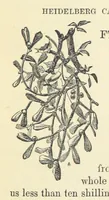 An illustration from Across the Channel; or, Picture-stories of foreign lands. [With illustrations (1888)