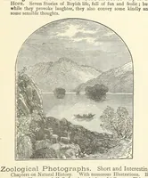 Picture 75 of 78 from Across the Channel; or, Picture-stories of foreign lands. [With illustrations (1888), leaf 273