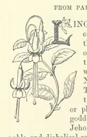 An illustration from Across the Channel; or, Picture-stories of foreign lands. [With illustrations (1888)
