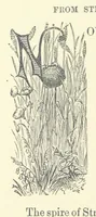 Picture 13 of 78 from Across the Channel; or, Picture-stories of foreign lands. [With illustrations (1888), leaf 34