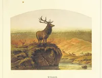 An illustration from Poetry of the year. Passages from the poets descriptive of the seasons. With twenty-two coloured illustrations from drawings by eminent artists.[Edited by Joseph Cundall (1853)