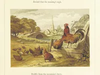 Picture 3 of 23 from Poetry of the year. Passages from the poets descriptive of the seasons. With twenty-two coloured illustrations from drawings by eminent artists.[Edited by Joseph Cundall (1853), leaf 27