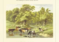 An illustration from Poetry of the year. Passages from the poets descriptive of the seasons. With twenty-two coloured illustrations from drawings by eminent artists.[Edited by Joseph Cundall (1853)