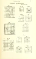 An illustration from Nebraska, its advantages, resources, and drawbacks. Illustrated (1875)