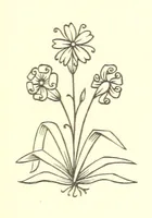 An illustration from Nebraska, its advantages, resources, and drawbacks. Illustrated (1875)