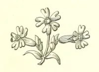 An illustration from Nebraska, its advantages, resources, and drawbacks. Illustrated (1875)