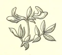 An illustration from Nebraska, its advantages, resources, and drawbacks. Illustrated (1875)